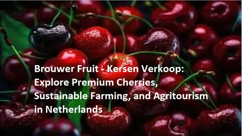 brouwer fruit - kersen verkoop