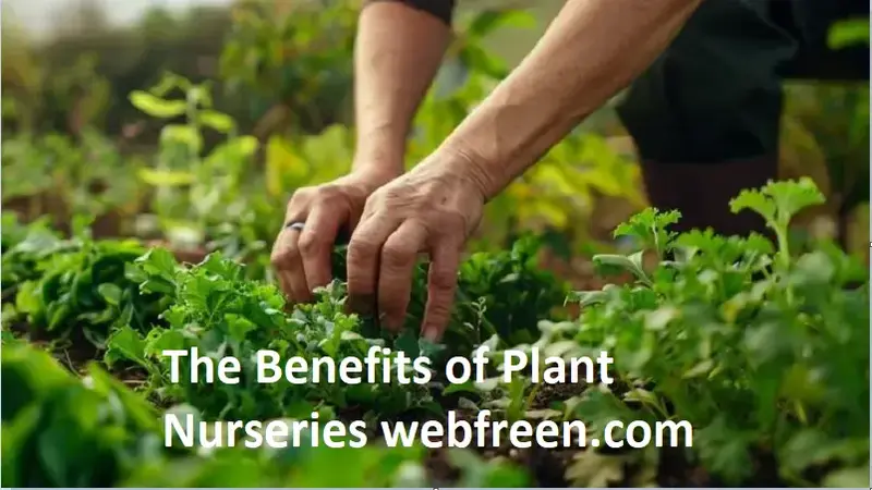 the benefits of plant nurseries webfreen.com